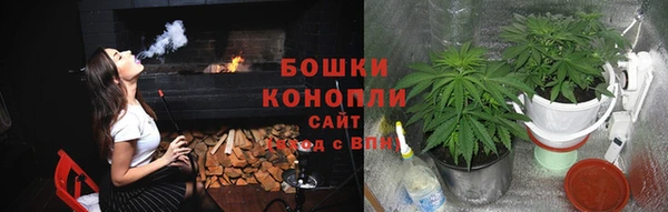 таблы Гусев