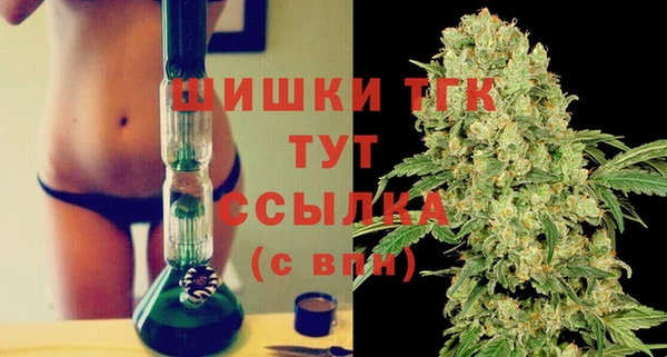 таблы Гусев