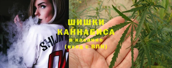 таблы Гусев