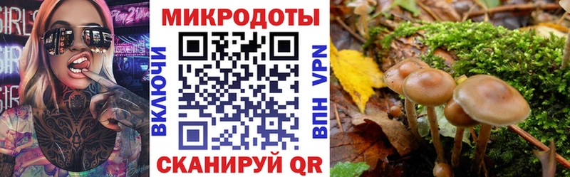 Псилоцибиновые грибы прущие грибы  Купить закладки  Бирюч 
